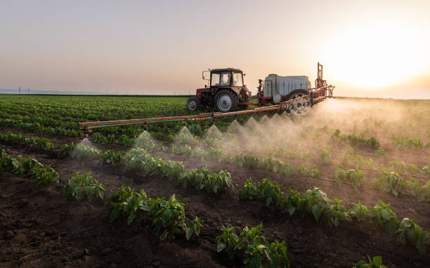 Pest Prevention Services in Graham, TX