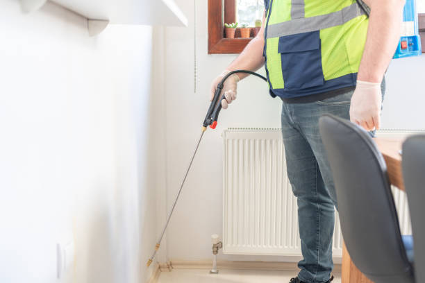 Best Pest Inspection Near Me  in Graham, TX